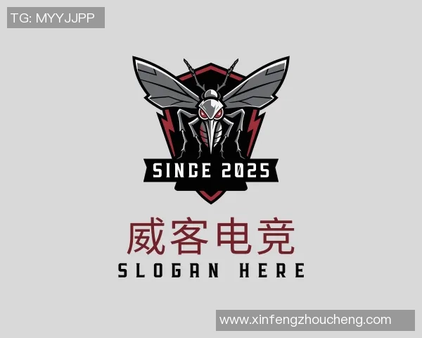 中超精彩对决切尔西逆转拜仁乌龙球引发全场狂欢